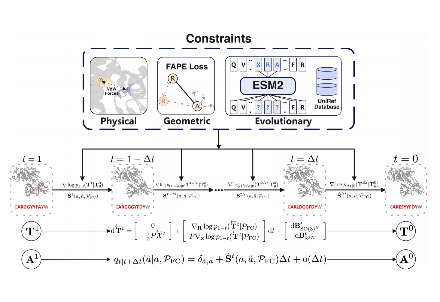 Antibody Design Using a Score-based Diffusion Model Guided by Evolutionary, Physical and Geometric Constraints